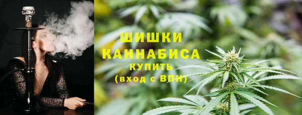 спайс Ладушкин