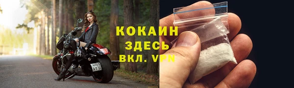 спайс Ладушкин