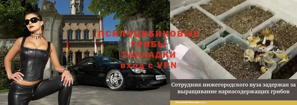 ешки Лиски