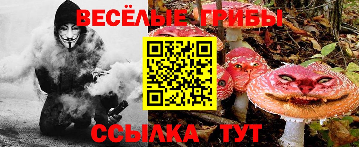 Галлюциногенные грибы мицелий Углич