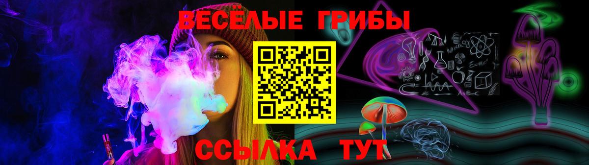 Углич  Галлюциногенные грибы Psilocybine cubensis  что такое наркотик  Галлюциногенные грибы мицелий  Вход с VPN 